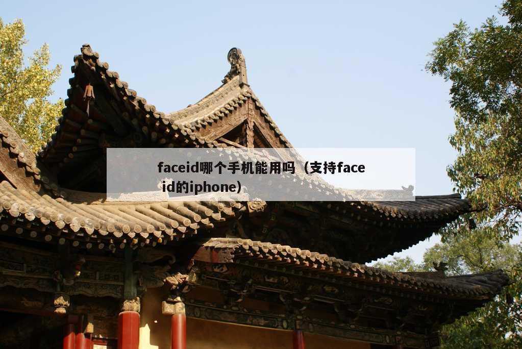 faceid哪个手机能用吗（支持face id的iphone）