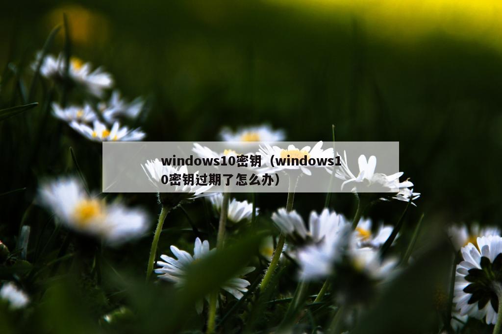 windows10密钥（windows10密钥过期了怎么办）