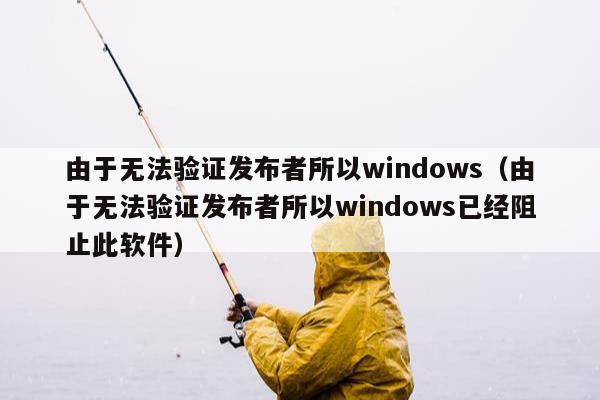 由于无法验证发布者所以windows（由于无法验证发布者所以windows已经阻止此软件）