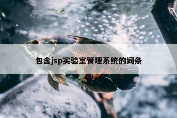 包含jsp实验室管理系统的词条