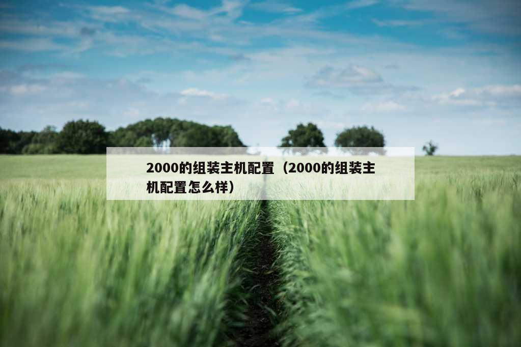 2000的组装主机配置（2000的组装主机配置怎么样）