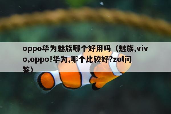 oppo华为魅族哪个好用吗（魅族,vivo,oppo!华为,哪个比较好?zol问答）