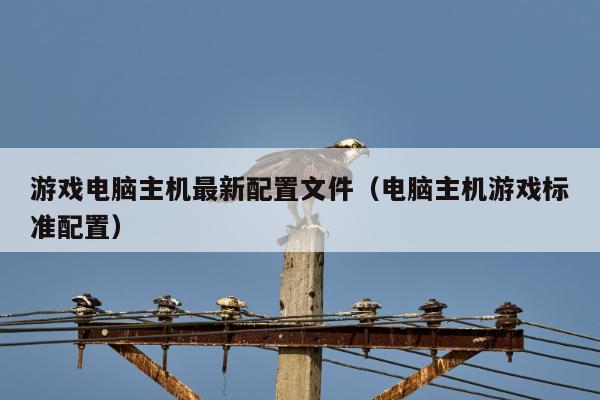 游戏电脑主机最新配置文件（电脑主机游戏标准配置）