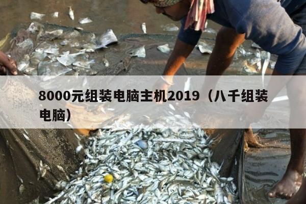 8000元组装电脑主机2019（八千组装电脑）