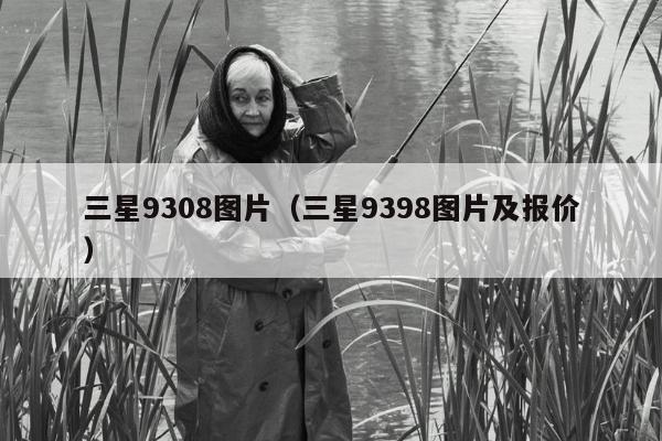 三星9308图片（三星9398图片及报价）