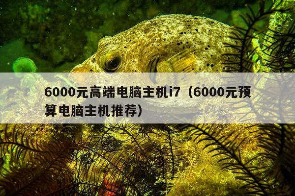 6000元高端电脑主机i7（6000元预算电脑主机推荐）