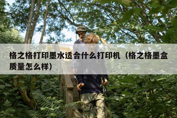 格之格打印墨水适合什么打印机（格之格墨盒质量怎么样）