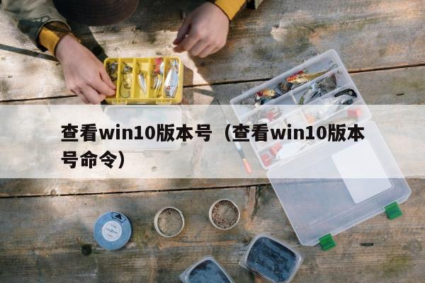 查看win10版本号（查看win10版本号命令）