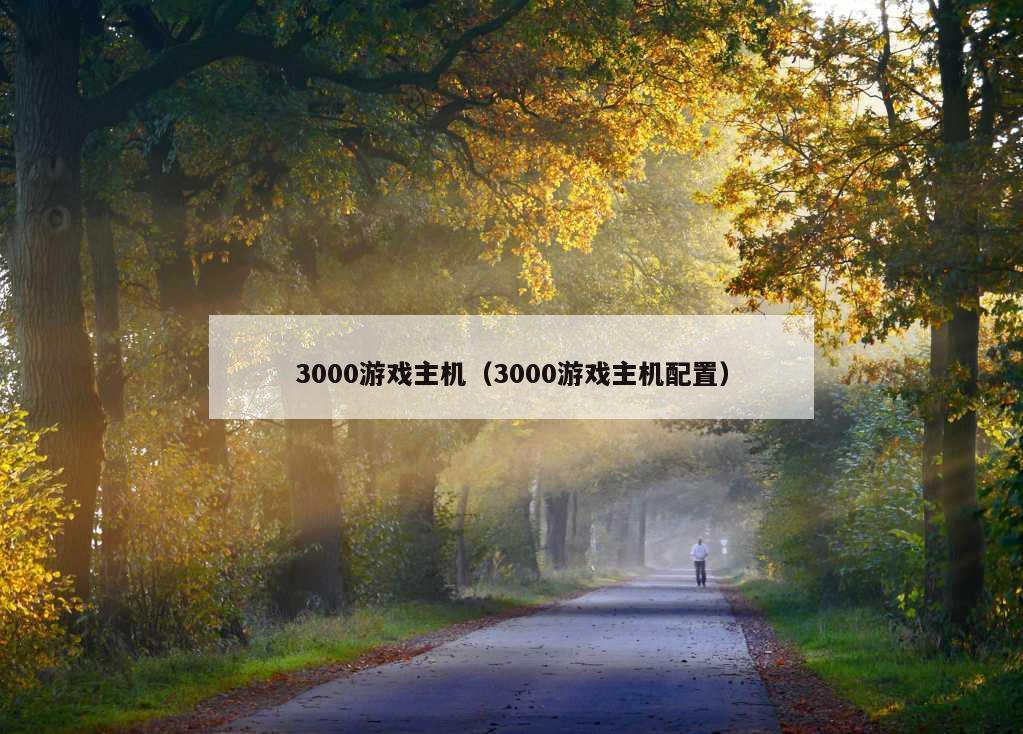 3000游戏主机（3000游戏主机配置）