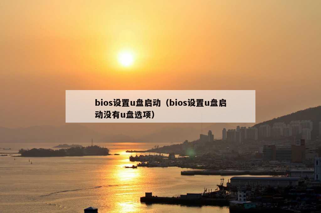 bios设置u盘启动（bios设置u盘启动没有u盘选项）