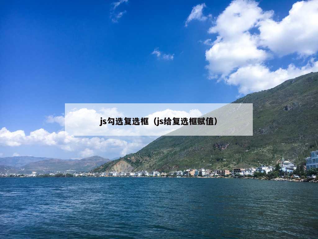 js勾选复选框（js给复选框赋值）