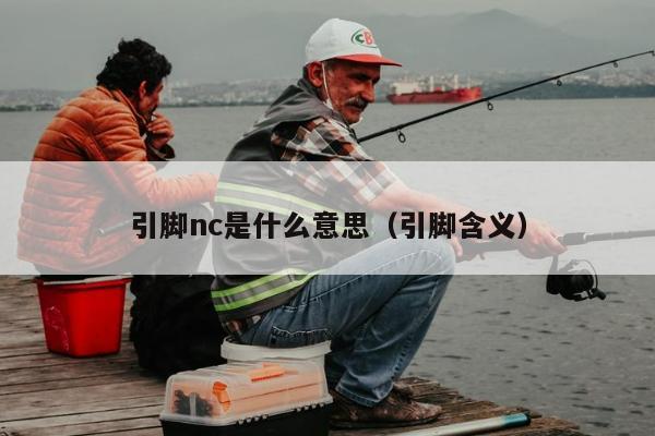 引脚nc是什么意思（引脚含义）