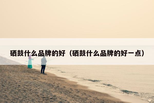 硒鼓什么品牌的好（硒鼓什么品牌的好一点）