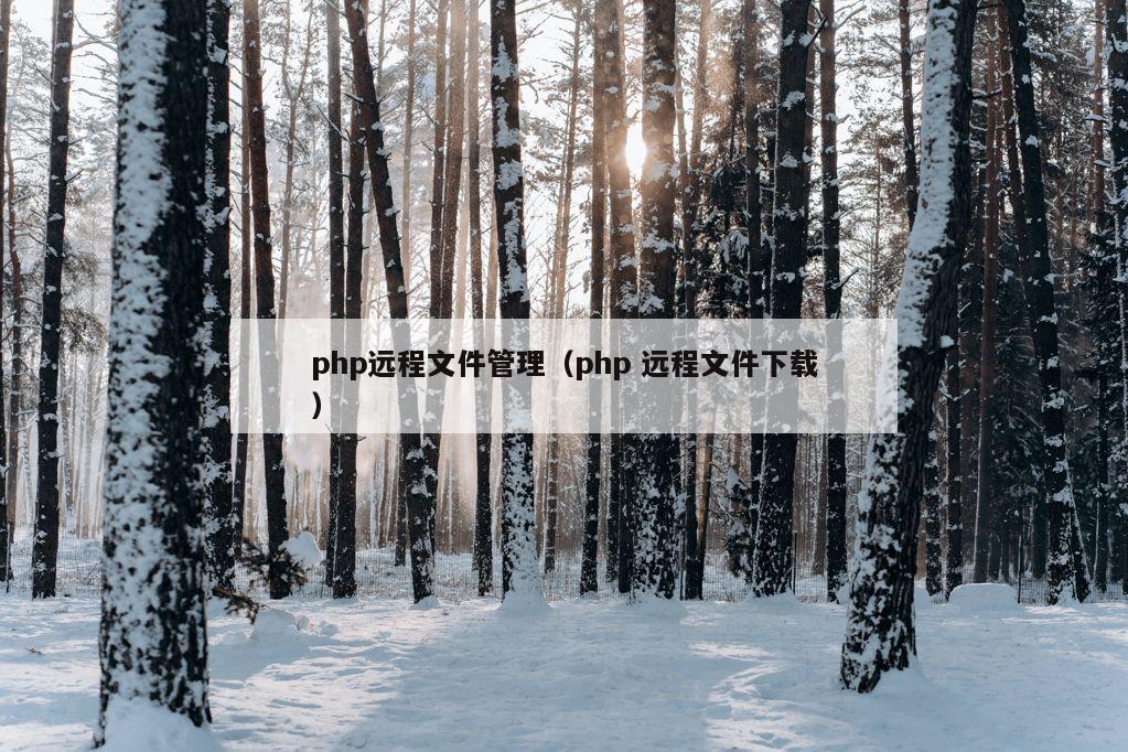 php远程文件管理（php 远程文件下载）