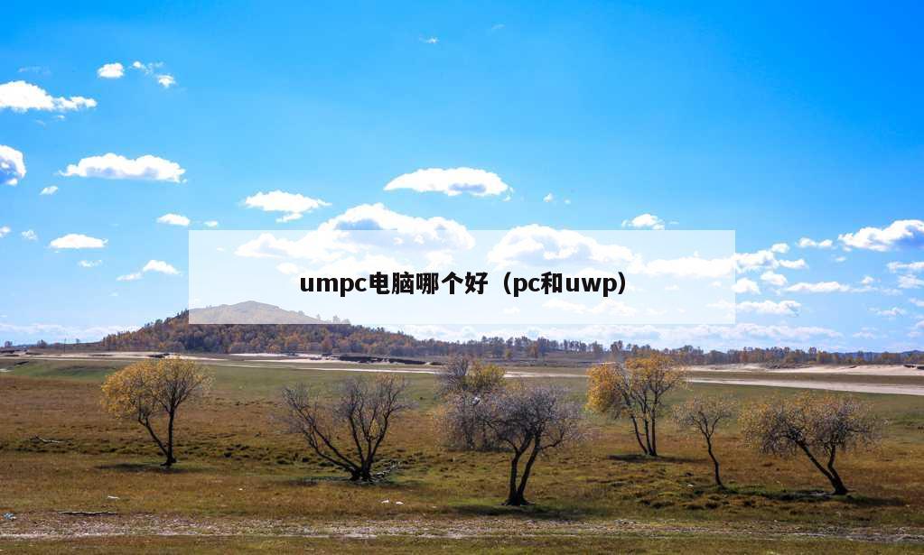 umpc电脑哪个好（pc和uwp）