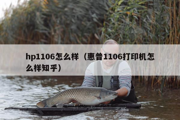 hp1106怎么样（惠普1106打印机怎么样知乎）