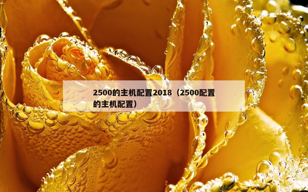 2500的主机配置2018（2500配置的主机配置）