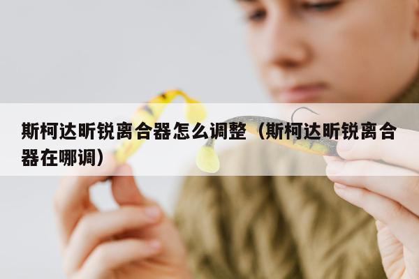 斯柯达昕锐离合器怎么调整（斯柯达昕锐离合器在哪调）