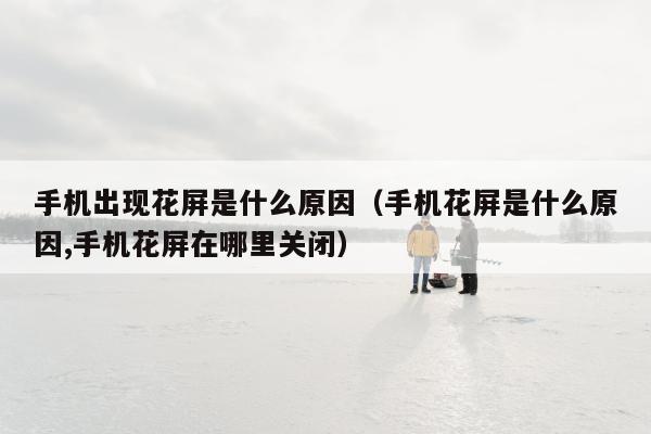 手机出现花屏是什么原因（手机花屏是什么原因,手机花屏在哪里关闭）