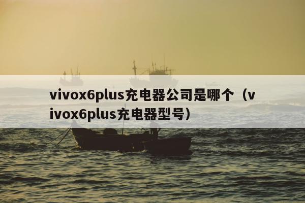 vivox6plus充电器公司是哪个（vivox6plus充电器型号）