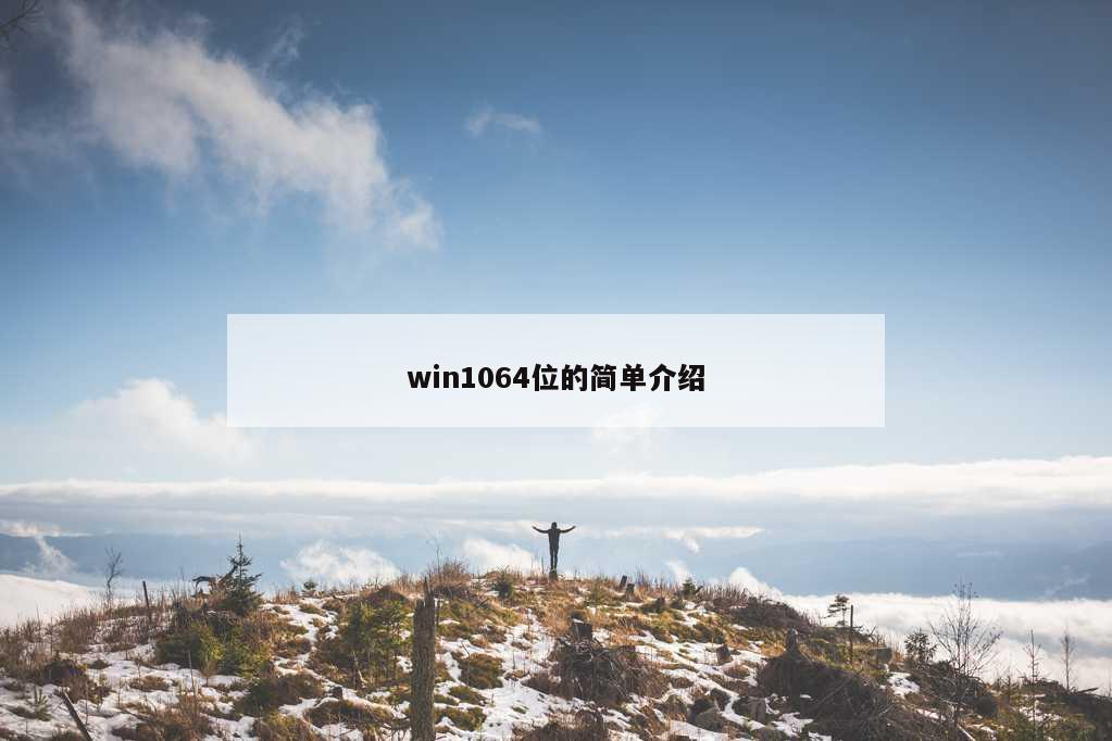 win1064位的简单介绍