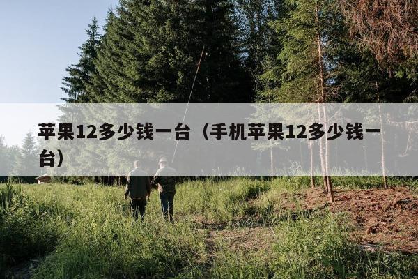 苹果12多少钱一台（手机苹果12多少钱一台）