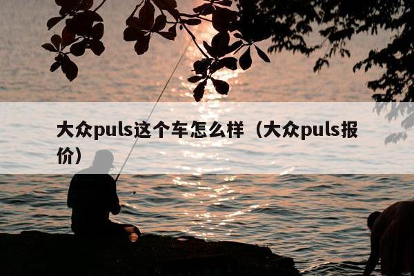 大众puls这个车怎么样（大众puls报价）