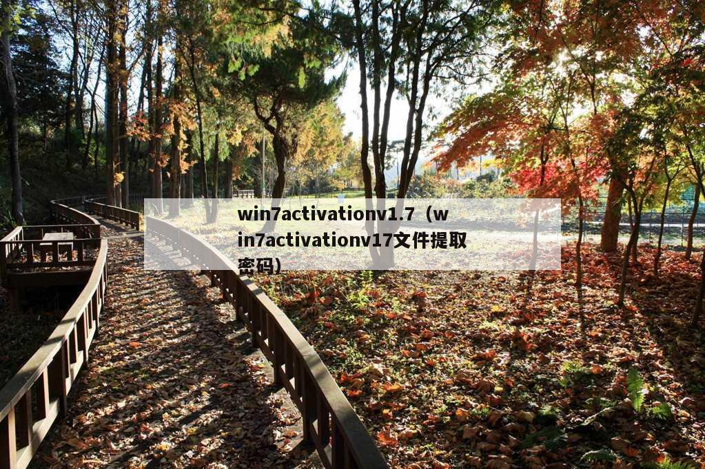 win7activationv1.7（win7activationv17文件提取密码）