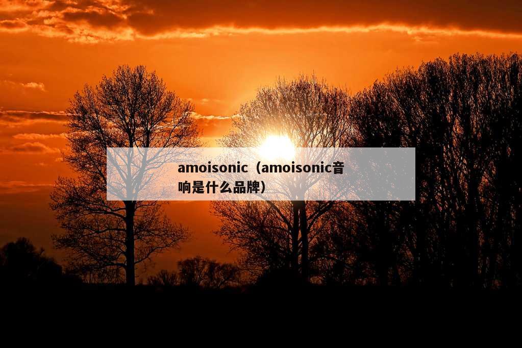 amoisonic（amoisonic音响是什么品牌）