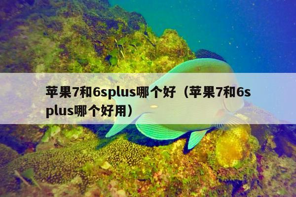 苹果7和6splus哪个好（苹果7和6splus哪个好用）