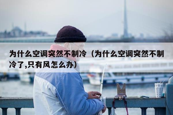 为什么空调突然不制冷（为什么空调突然不制冷了,只有风怎么办）