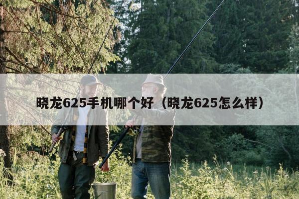 晓龙625手机哪个好（晓龙625怎么样）