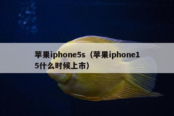 苹果iphone5s（苹果iphone15什么时候上市）