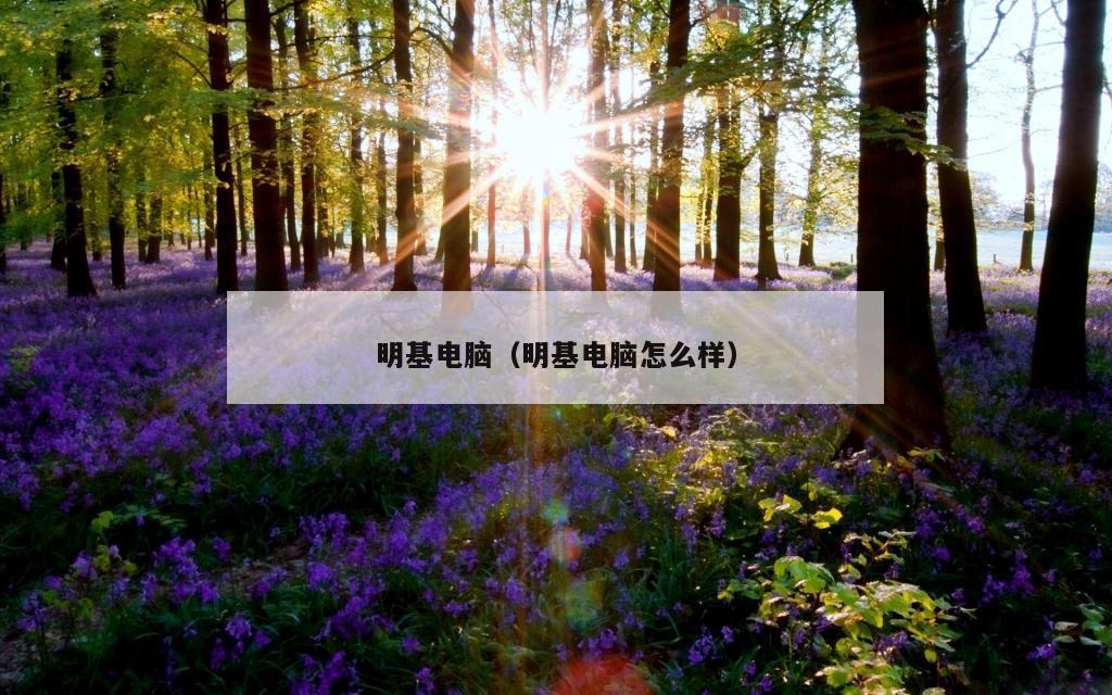 明基电脑（明基电脑怎么样）