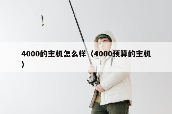 4000的主机怎么样（4000预算的主机）