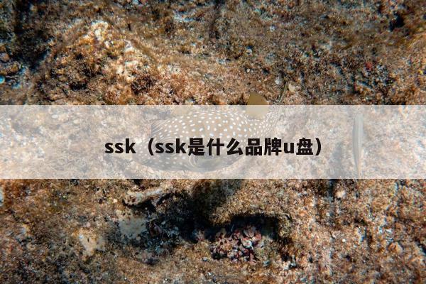 ssk（ssk是什么品牌u盘）