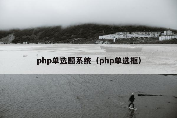 php单选题系统（php单选框）