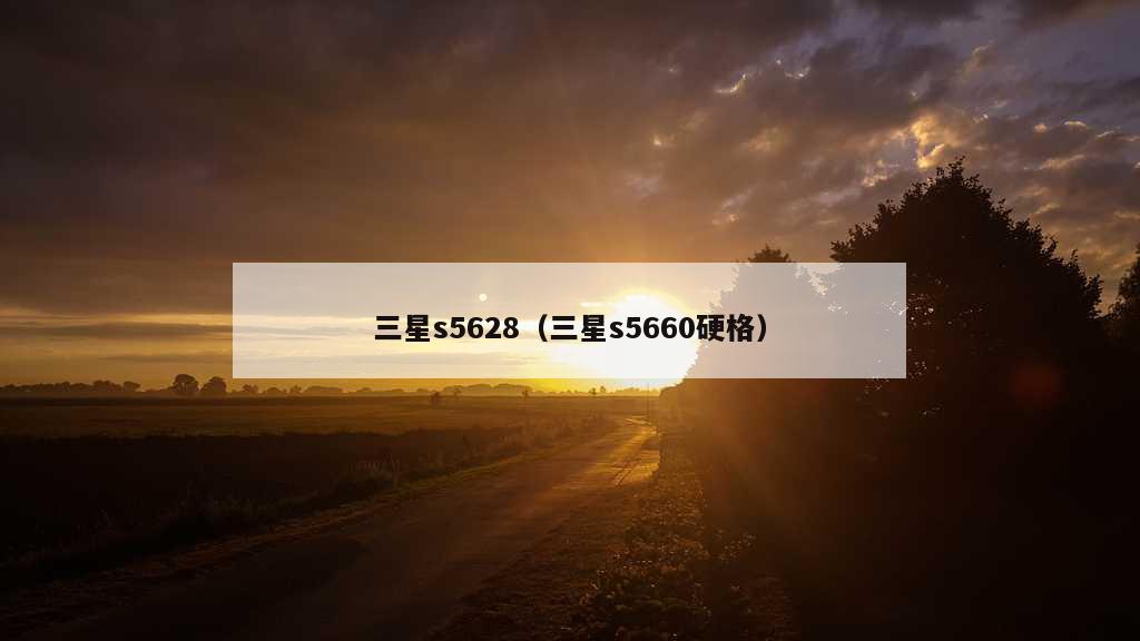 三星s5628（三星s5660硬格）