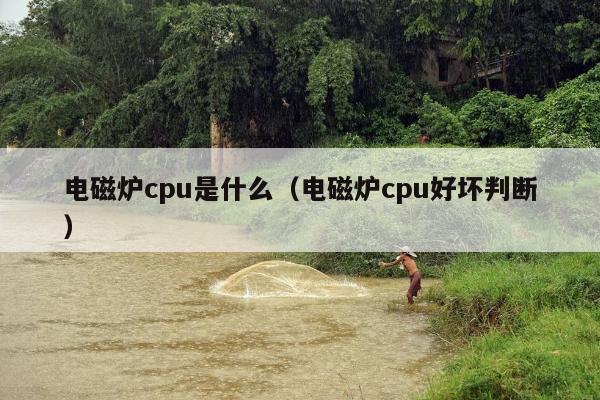 电磁炉cpu是什么（电磁炉cpu好坏判断）