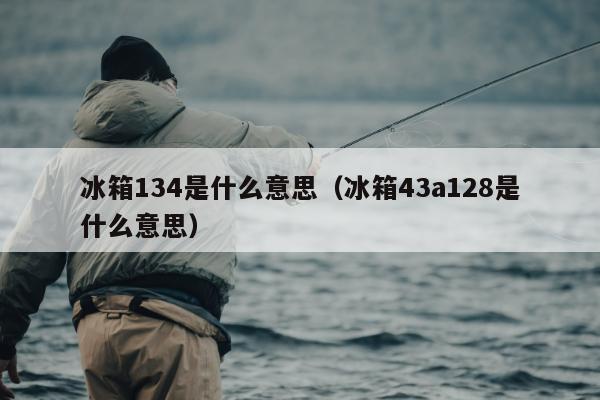 冰箱134是什么意思（冰箱43a128是什么意思）