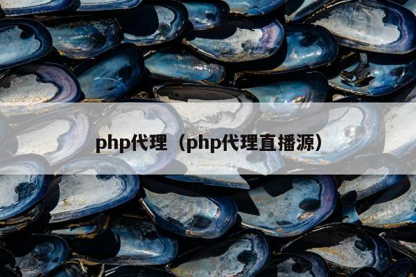 php代理（php代理直播源）