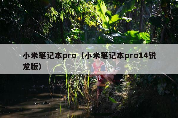 小米笔记本pro（小米笔记本pro14锐龙版）