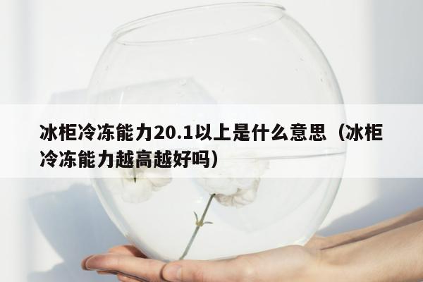 冰柜冷冻能力20.1以上是什么意思（冰柜冷冻能力越高越好吗）