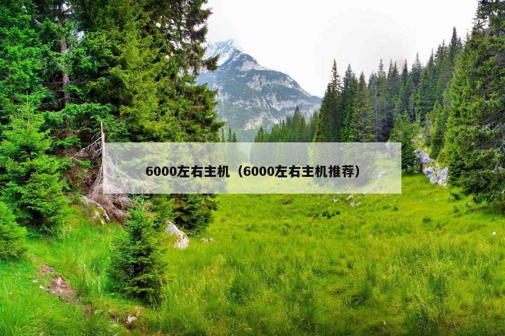 6000左右主机（6000左右主机推荐）