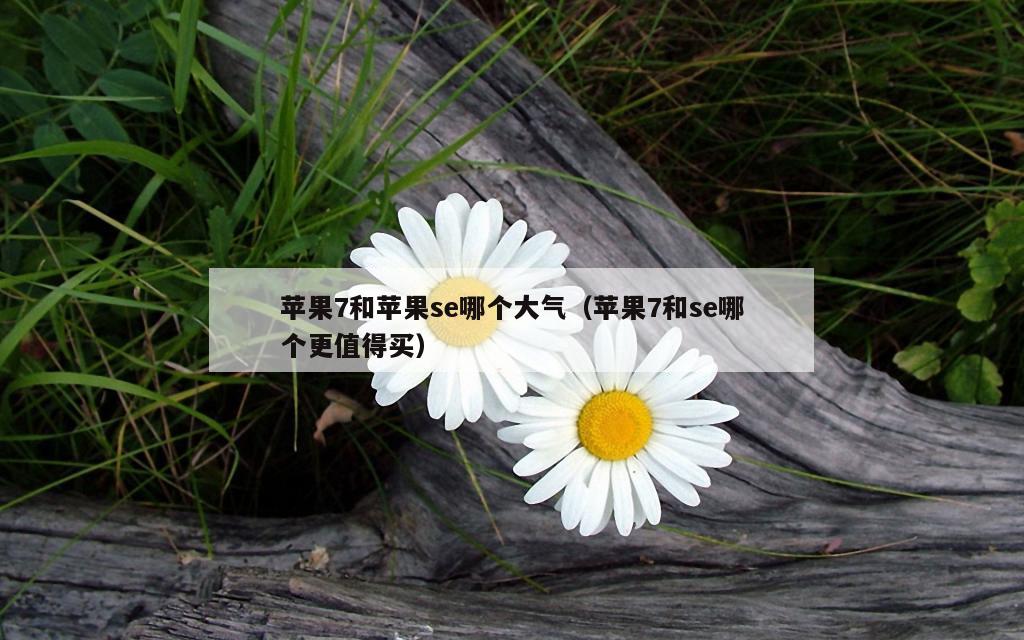 苹果7和苹果se哪个大气（苹果7和se哪个更值得买）