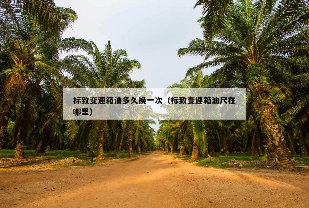 标致变速箱油多久换一次（标致变速箱油尺在哪里）