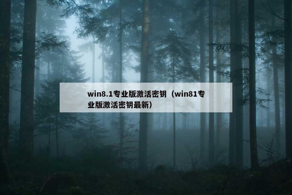 win8.1专业版激活密钥（win81专业版激活密钥最新）