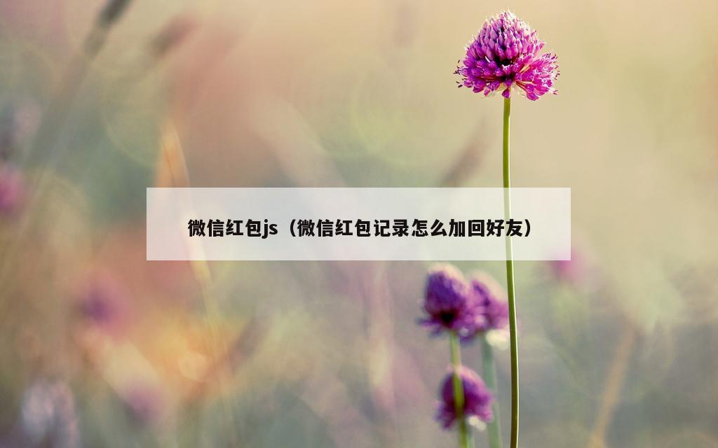 微信红包js（微信红包记录怎么加回好友）