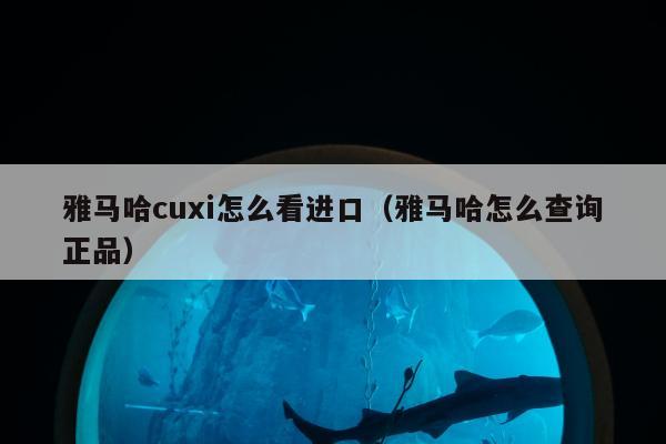 雅马哈cuxi怎么看进口（雅马哈怎么查询正品）