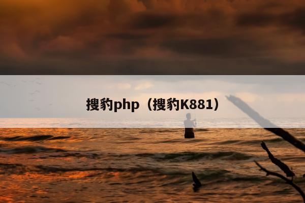 搜豹php（搜豹K881）